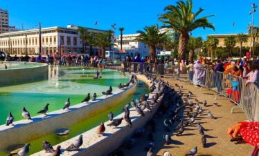 Marrakech Best Trips