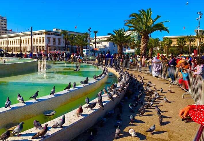 Marrakech Best Trips