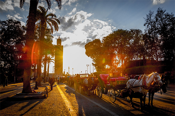 Marrakech-Gardens (1)